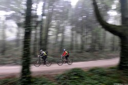 XPD08_20081204_1706_PCalisto_9546.jpg