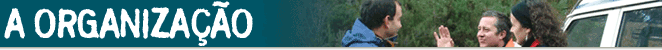 A Organização